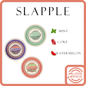 Chewing Slapple 丁感口香糖 薄荷 可樂 西瓜 辦公\飛機上解癮好幫手 一盒40入